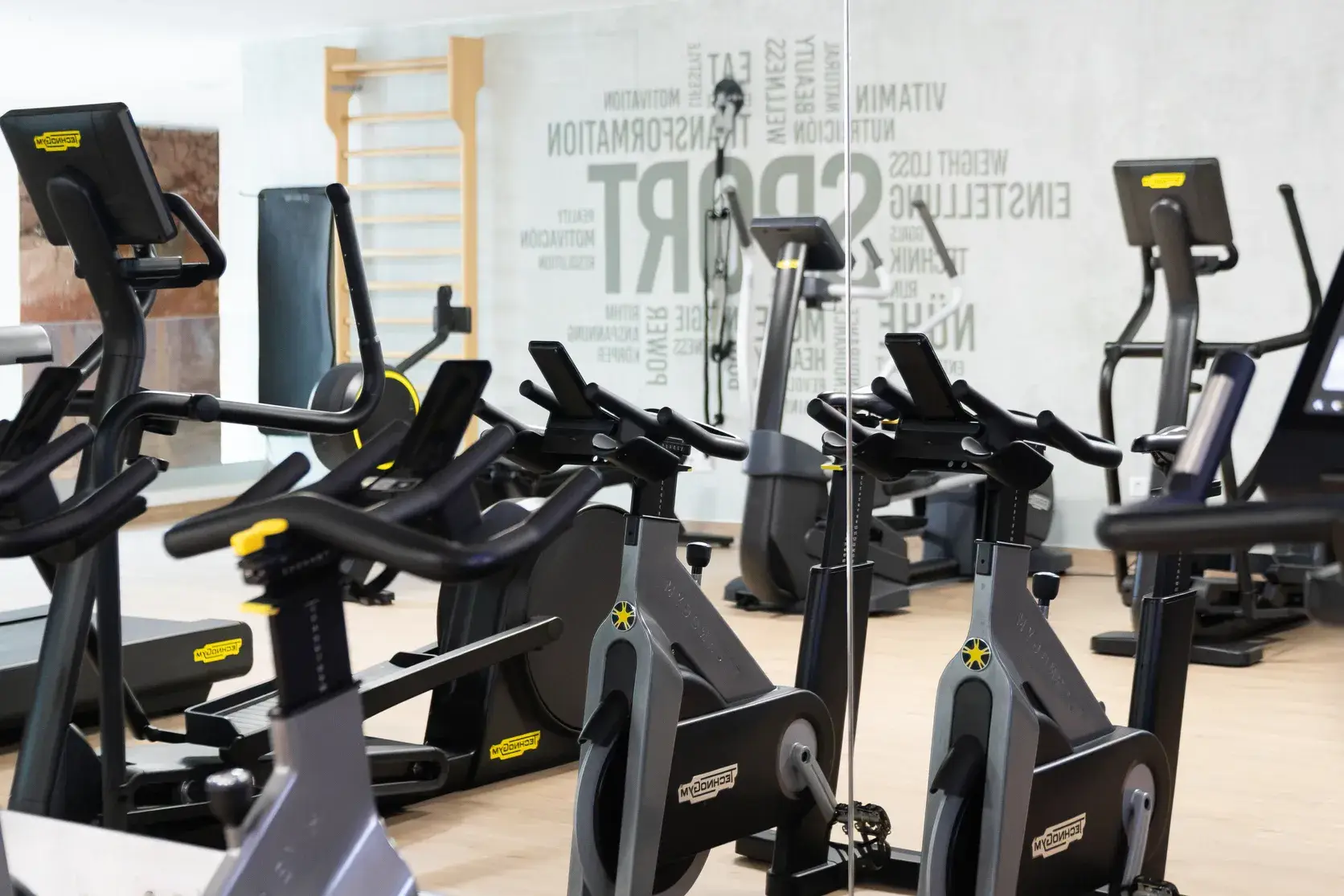 Zona de entrenamiento del gimnasio