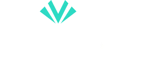 LIVVO Plus